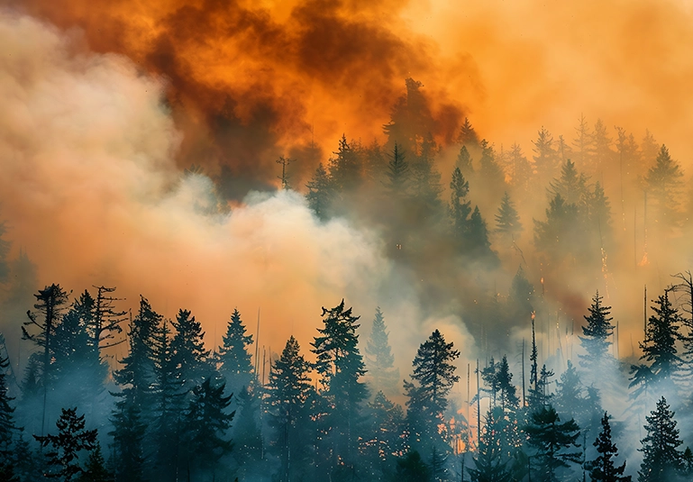 Fire Weather Testbed