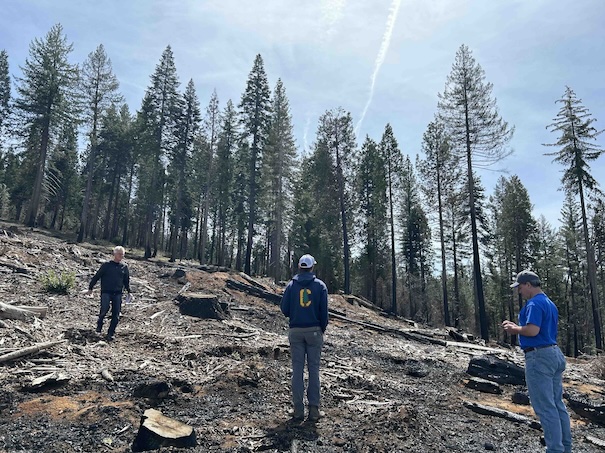Scientists survey the Mosquito Fire burn scar where trees have been cleared. This may serve as a site for new observing systems to be deployed.